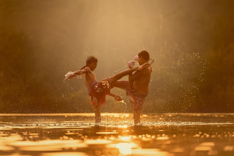 Tai Chi Fan